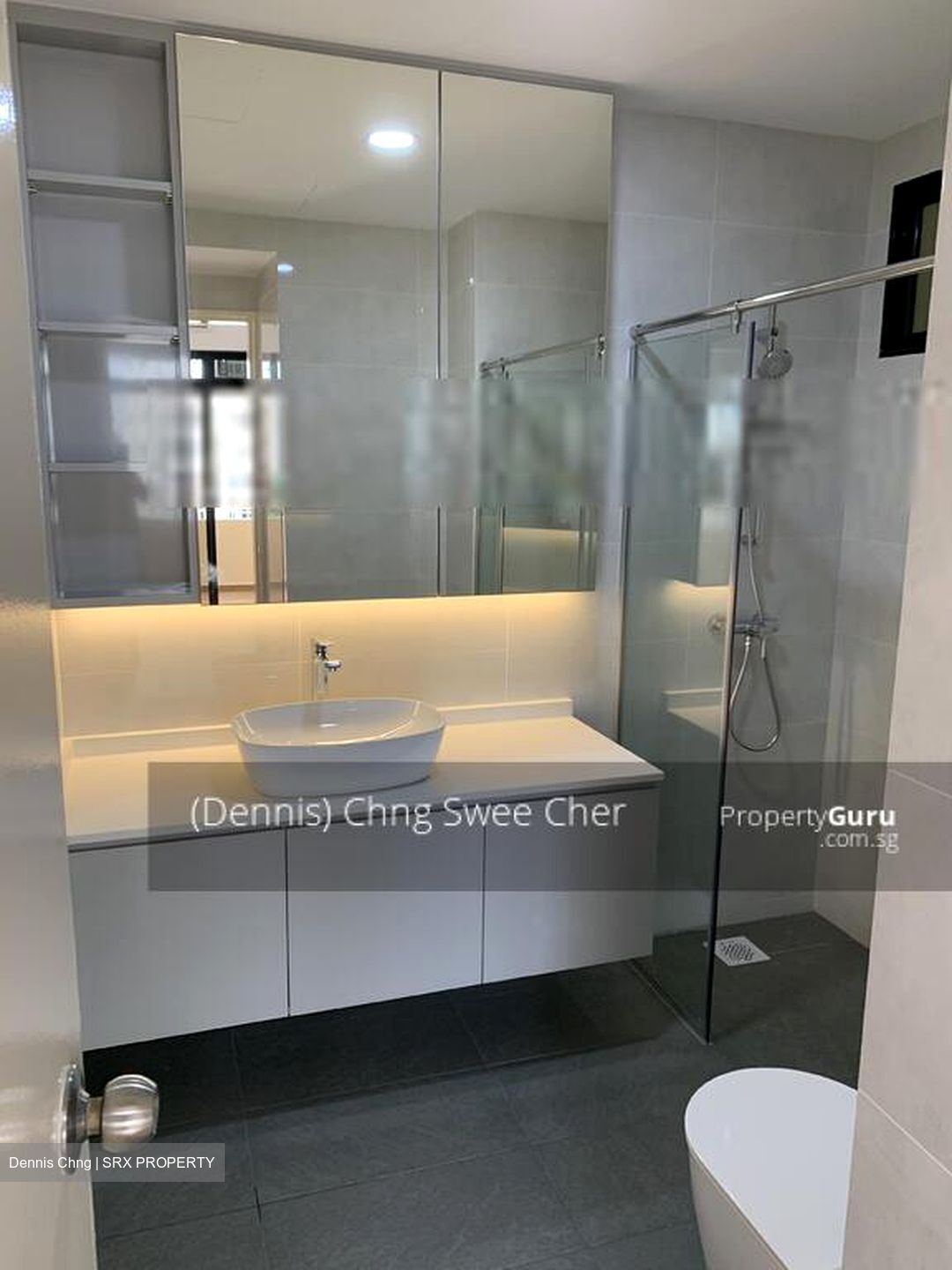 Allsworth Park (D10), Condominium #441601571